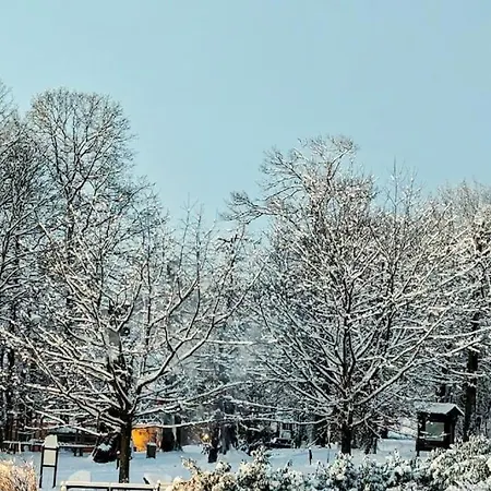 Apartamento Chez Mar'tine 2 Niederbronn-les-Bains